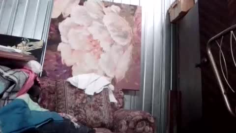 Snapshot of i1nt2fuk chatting on October 7, 2025, 12:19 am i1nt2fuk online show from October 7, 2025, 12:19 am