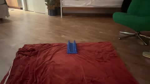 Olive online show from October 19, 2025, 5:41 am