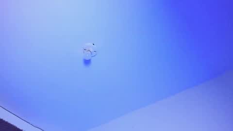 NAHO online show from October 1, 2025, 3:12 am