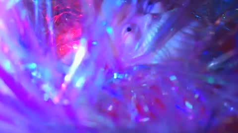 iamhereandnow online show from December 19, 2025, 2:07 am