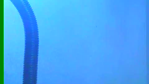 Snapshot of ian_zaenzz chatting on December 18, 2024, 10:35 pm Samuel igsamuelnoguera 1333 online show from December 18, 2024, 10:35 pm