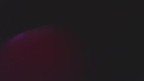  iara smith  online show from February 15, 2026, 12:03 pm