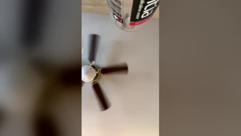 idkk_97 online show from March 29, 2026, 8:09 pm