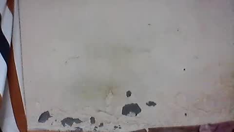 iiiirasoa online show from July 12, 2026, 6:37 am