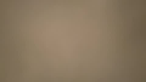 Morvoys online show from November 6, 2025, 5:36 pm