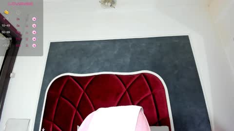 Snapshot of illegal_lorry chatting on December 20, 2024, 10:49 am illegal_lorry online show from December 20, 2024, 10:49 am