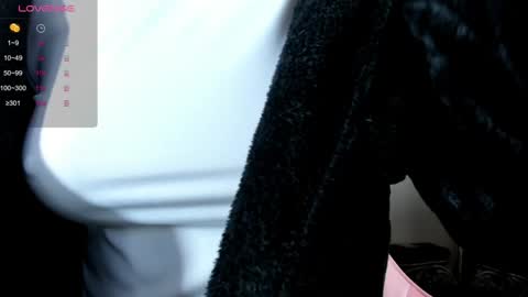 Snapshot of illegal_lorry chatting on December 30, 2024, 4:53 am illegal_lorry online show from December 30, 2024, 4:53 am