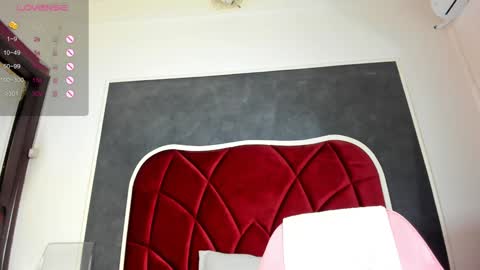 Snapshot of illegal_lorry chatting on January 16, 2025, 10:53 am illegal_lorry online show from January 16, 2025, 10:53 am