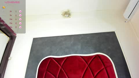 Snapshot of illegal_lorry chatting on January 17, 2025, 8:02 am illegal_lorry online show from January 17, 2025, 8:02 am