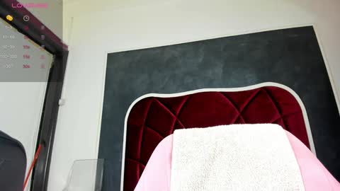 Snapshot of illegal_lorry chatting on January 31, 2025, 5:30 am illegal_lorry online show from January 31, 2025, 5:30 am