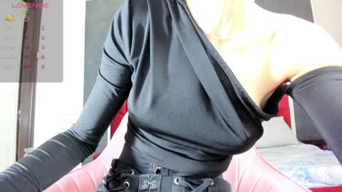 Snapshot of illegal_lorry chatting on February 2, 2025, 4:15 am illegal_lorry online show from February 2, 2025, 4:15 am