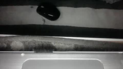 iloveitall86 online show from April 12, 2026, 4:50 am