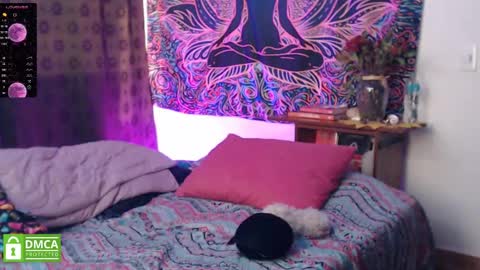 Cutie pie online show from December 21, 2024, 10:19 pm