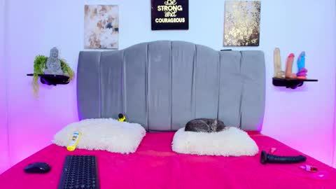 im_riley_ online show from October 8, 2025, 7:33 pm