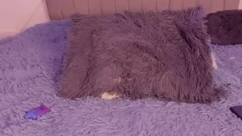 im tiffany  online show from March 5, 2026, 4:19 am