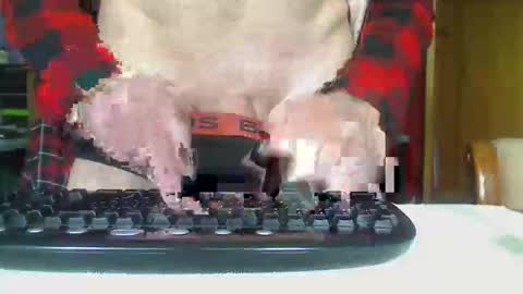 Aussie Guy online show from October 21, 2025, 12:33 am