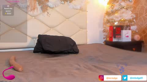 Snapshot of imlodge chatting on December 12, 2024, 10:45 am Camilo Lodge online show from December 12, 2024, 10:45 am
