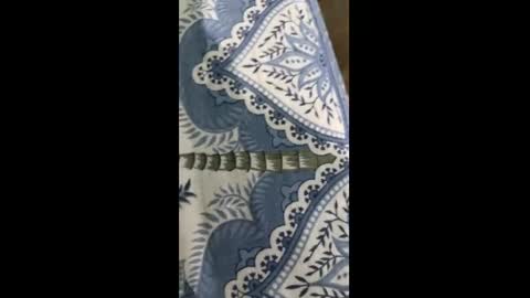 Indian desi6969 online show from March 30, 2026, 7:26 pm