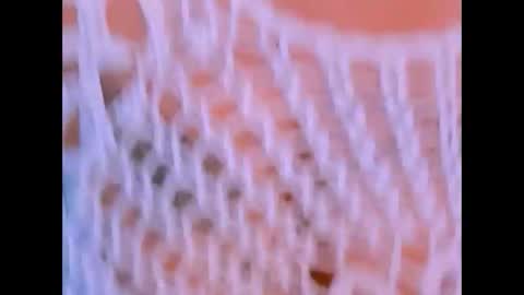 indianroxy27 online show from December 13, 2025, 8:14 pm