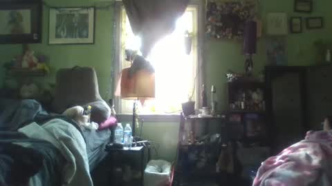 indigo_scorpio online show from February 5, 2025, 6:48 pm