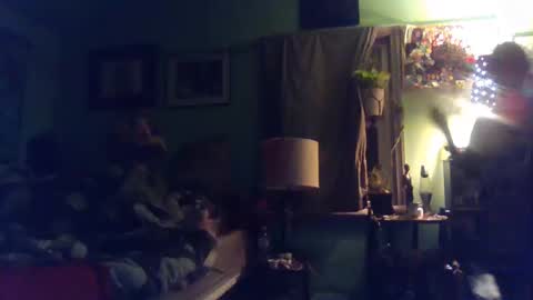 indigo_scorpio online show from February 11, 2025, 7:54 am