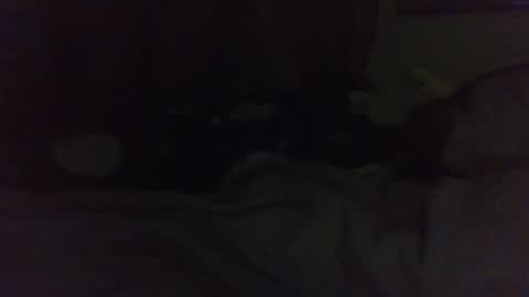 indigo_scorpio online show from February 22, 2025, 11:24 am