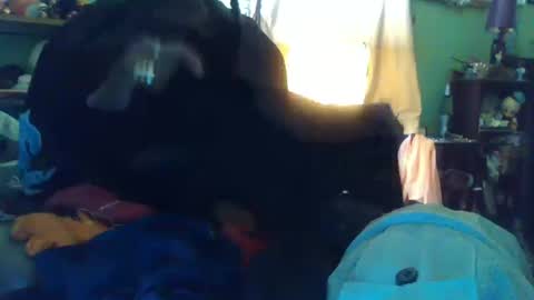 indigo_scorpio online show from October 13, 2025, 10:10 pm