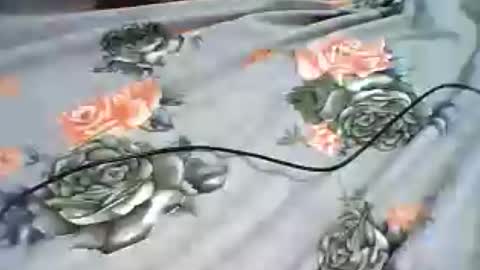 inejhtin online show from June 24, 2026, 4:00 am