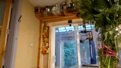 sir. Grummps online show from February 14, 2026, 12:18 am