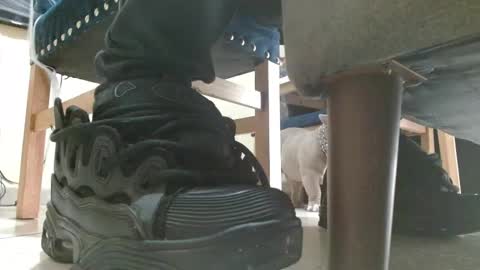 inmortal lamb online show from October 12, 2025, 6:51 pm