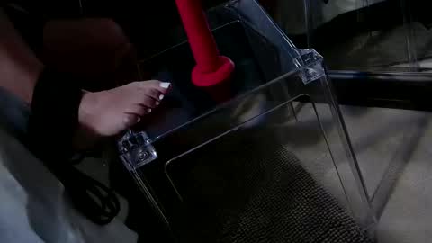 Snapshot of insatiablecpl333 chatting on January 20, 2025, 9:11 pm InsatiableCpl333 online show from January 20, 2025, 9:11 pm