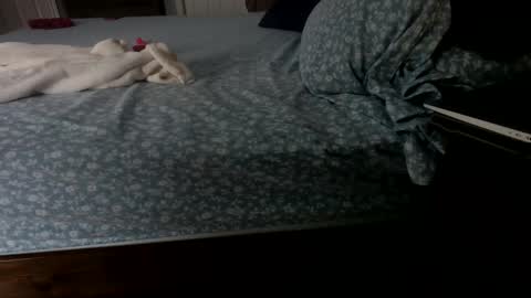 Snapshot of insatiablecpl333 chatting on January 23, 2025, 2:07 pm InsatiableCpl333 online show from January 23, 2025, 2:07 pm