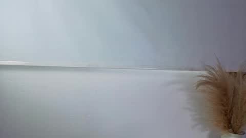 invincible200 online show from October 1, 2025, 2:23 pm