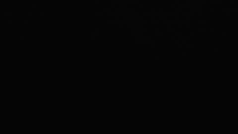 irene online show from February 14, 2025, 11:10 am