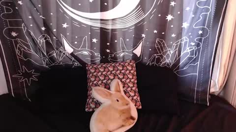 Snapshot of isabella__dark chatting on January 3, 2025, 7:29 pm    online show from January 3, 2025, 7:29 pm