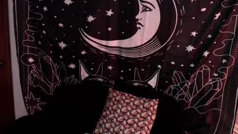 Snapshot of isabella__dark chatting on January 7, 2025, 1:17 am    online show from January 7, 2025, 1:17 am