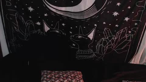 Snapshot of isabella__dark chatting on January 8, 2025, 1:42 am    online show from January 8, 2025, 1:42 am