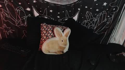 Snapshot of isabella__dark chatting on January 12, 2025, 3:39 am    online show from January 12, 2025, 3:39 am