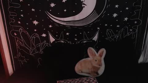 Snapshot of isabella__dark chatting on January 23, 2025, 12:14 am    online show from January 23, 2025, 12:14 am