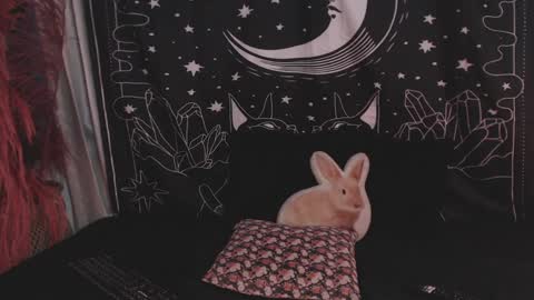 Snapshot of isabella__dark chatting on January 29, 2025, 11:14 pm    online show from January 29, 2025, 11:14 pm