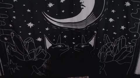 Snapshot of isabella__dark chatting on January 31, 2025, 11:24 pm    online show from January 31, 2025, 11:24 pm