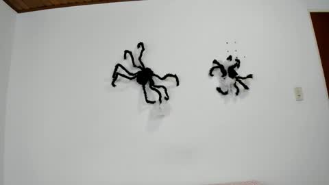 Snapshot of isabella_jaramillo chatting on November 2, 2025, 12:29 pm isabella_jaramillo online show from November 2, 2025, 12:29 pm