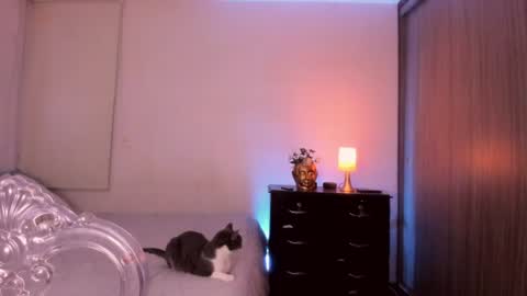 Snapshot of isabelprietoo chatting on July 17, 2026, 1:23 am Isa online show from July 17, 2026, 1:23 am