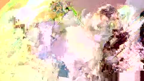 Nathaniel online show from May 13, 2026, 4:04 pm