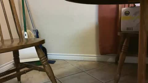 itsjustmehere online show from May 3, 2026, 11:27 am