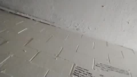 ittybitty0075 online show from March 11, 2026, 4:46 pm