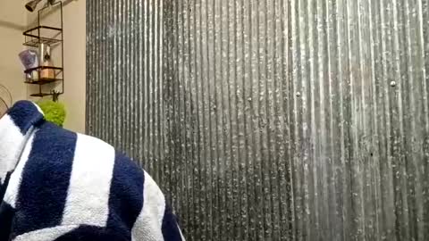 Snapshot of ittybittypritty chatting on November 15, 2025, 12:02 pm ittybittypritty online show from November 15, 2025, 12:02 pm