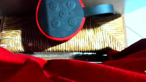 ivanaskats online show from December 17, 2024, 7:04 pm