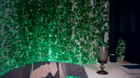 Miss Ivy online show from December 28, 2024, 7:54 pm