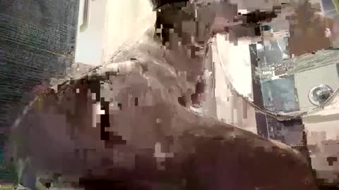 Snapshot of izcah_g chatting on January 6, 2025, 10:13 am Izcah online show from January 6, 2025, 10:13 am